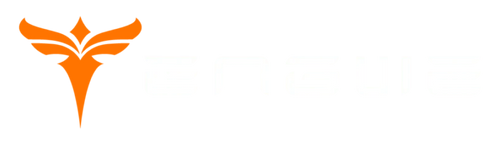Engwe