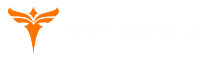 Logo Engwe