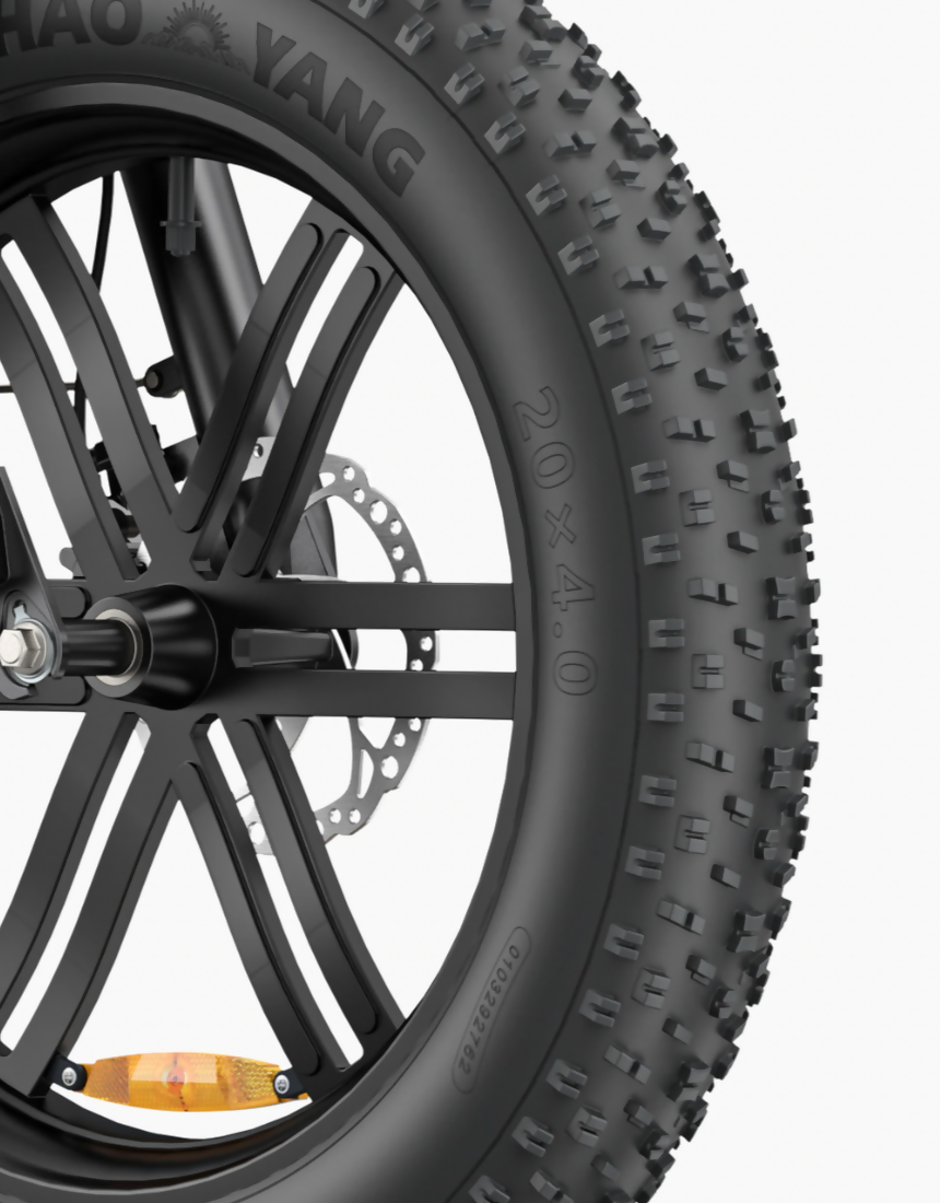 ENGWE L20 Boost